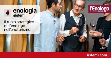 Il ruolo strategico dell’enologo nell’enoturismo