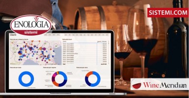 Digitale, controllo di gestione e sostenibilità: tre alleati delle moderne aziende vitivinicole