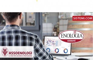L’Enologo, tecnico e manager: il supporto degli strumenti digitali