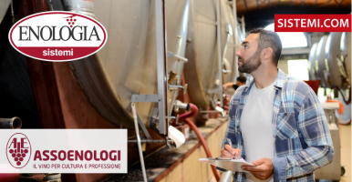 Il ruolo dell’enologo nella strategia delle moderne imprese vitivinicole
