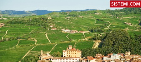 Barolo, convegno “Etichettatura vinicola: novità normative e impatto sui processi aziendali” | Sistemi