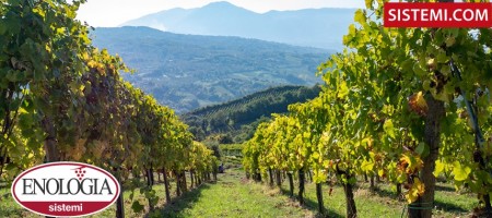 Convegno – “Etichettatura vinicola: novità normative e impatto sui processi aziendali”