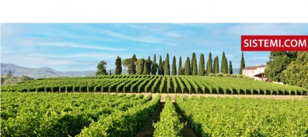 Verona, convegno “Etichettatura vinicola: novità normative e impatto sui processi aziendali”