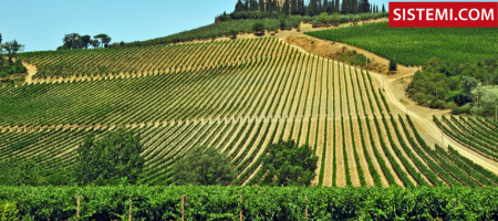 Siena, convegno “Etichettatura vinicola: novità normative e impatto sui processi aziendali”
